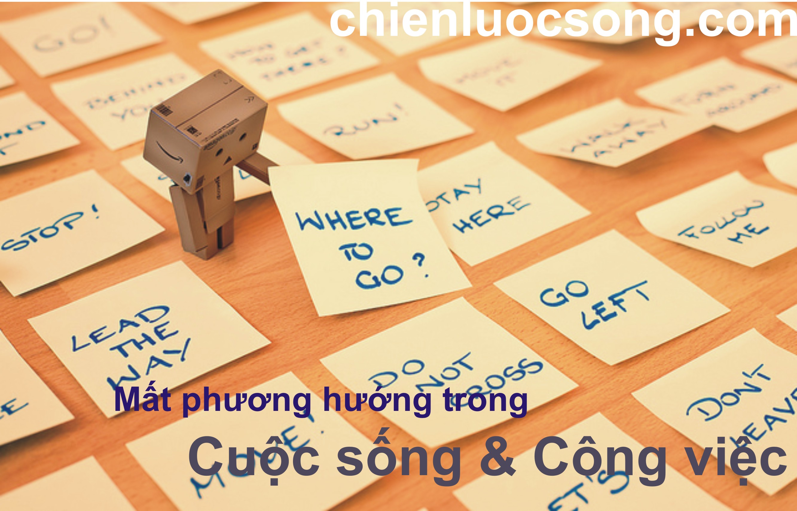 lam bang dai hoc hcm